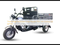 Driewiel motoriseerde vracht driewieler 175cc luchtkoeling CDI ontsteking