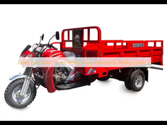 Open type 300CC Driewiel vrachtmotorfiets 1000kg