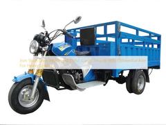 Ijzeren Aandrijfas Gemotoriseerde 250cc Vracht Trike Met Differentieel As Voor Zware Belading