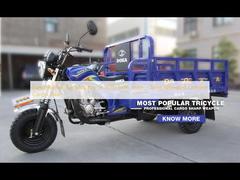 Benzine Tuk Tuk Motorfiets met Zijzitplaatsen, Drie Wielen Chinese Vracht Trike