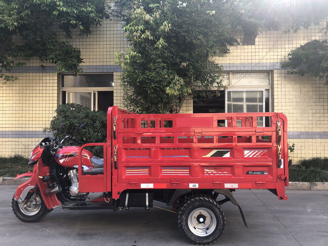 Volwassen 250CC-Type Met drie wielen 1700 van Ladings Open Lichaam * 1250mm de Maximum Snelheid van de Trommelrem 60km/H