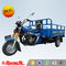 Comfortabele Ladingsmotorfiets Met drie wielen 150cc/de Zware Ladingsmacht van 200cc